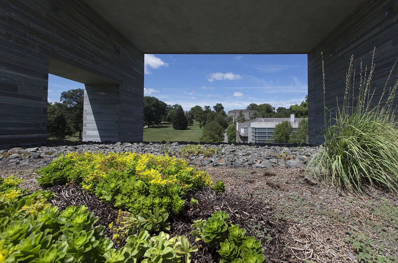 Green Roof