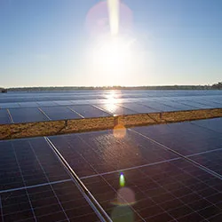 Array of solar panels underneath sun and blue sky